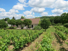 Les Vignes de Paris